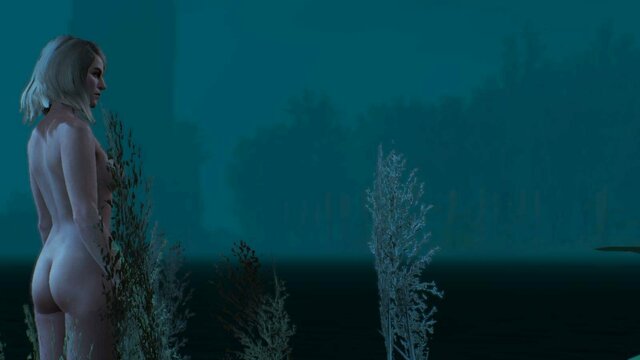 witcher3 2021-12-23 23-17-40-52.jpg