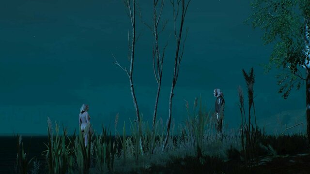 witcher3 2021-12-23 23-17-46-53.jpg