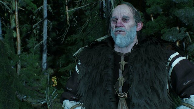 witcher3 2021-12-29 00-15-33-02.jpg