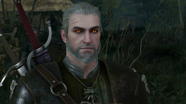 witcher3 2021-12-28 19-04-15-14.jpg