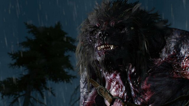 witcher3 2022-01-04 21-22-00-56.jpg