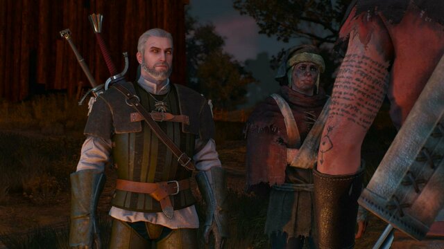 witcher3 2021-12-27 23-43-23-11.jpg