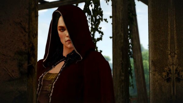 БРУКСА, Геральт и результат встречи ;) Ведьмак III