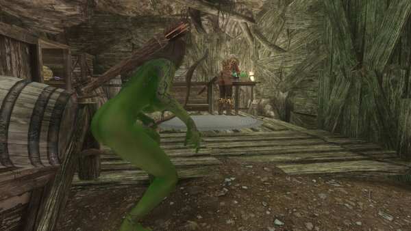 TESV Решила обзавестись рабыней при зачистке лагеря бандитов