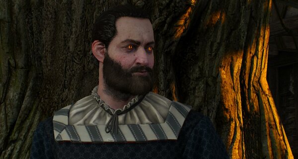 Ведьмак школы Кота - похож на кота ))