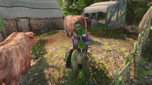 TESV Хозяйство