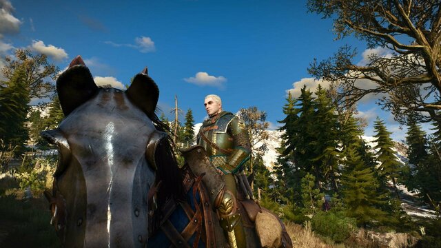 witcher3 2022-02-03 23-40-24-05.jpg