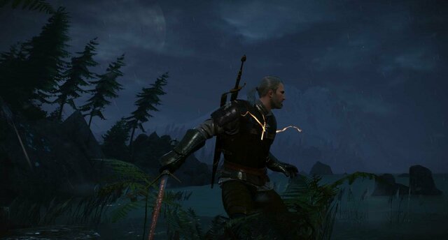 witcher3 2021-12-30 01-08-13-51.jpg