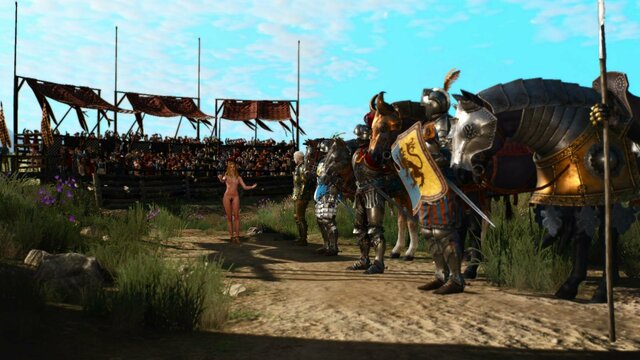 witcher3 2022-01-29 00-06-24-18.jpg