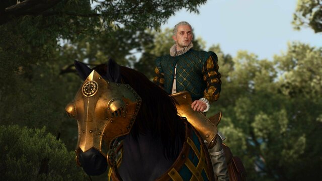 witcher3 2022-01-23 21-38-20-32.jpg