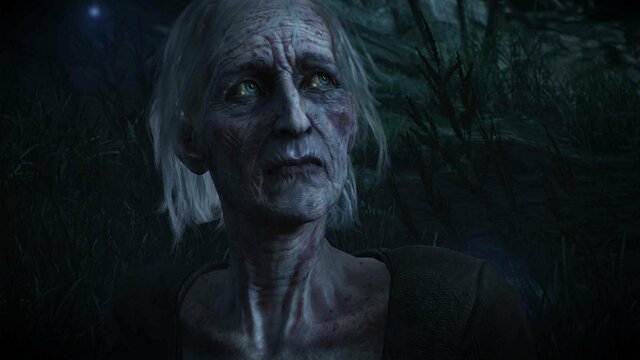 witcher3 2022-02-07 21-55-30-38.jpg