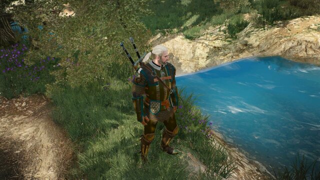 witcher3 2022-01-15 19-17-48-66.jpg