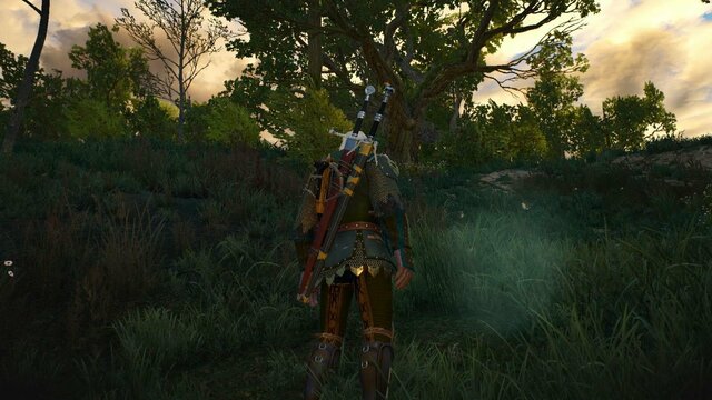 witcher3 2022-01-15 20-45-46-73.jpg