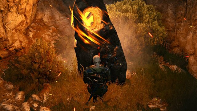 witcher3 2022-01-25 22-07-38-43.jpg