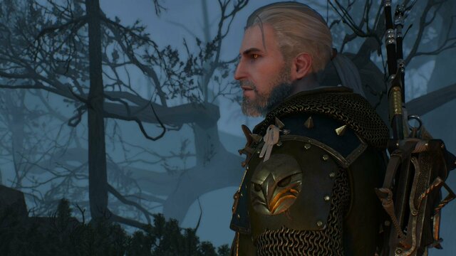 witcher3 2022-01-19 21-39-59-59.jpg