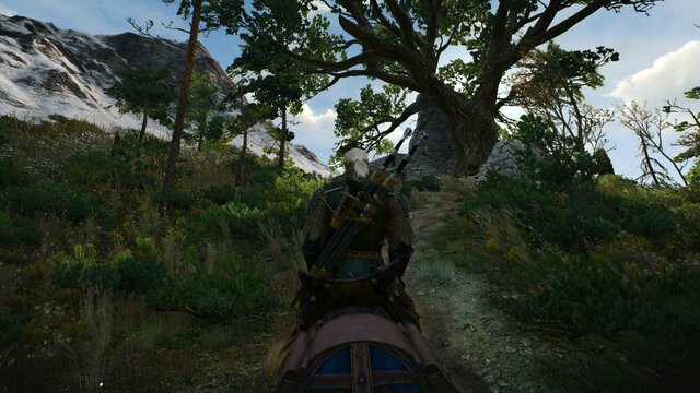 witcher3 2022-02-03 00-08-48-39.jpg