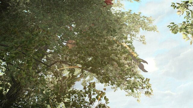 witcher3 2022-02-06 21-21-31-36.jpg