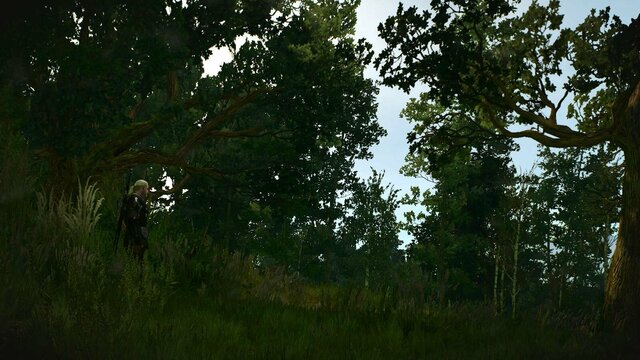 witcher3 2022-01-10 23-50-37-17.jpg