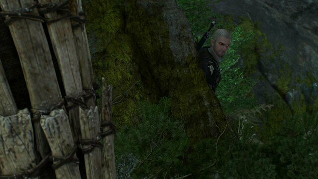 witcher3 2022-01-03 21-50-38-07.jpg