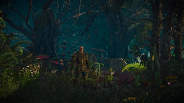 witcher3 2022-02-10 22-36-41-21.jpg