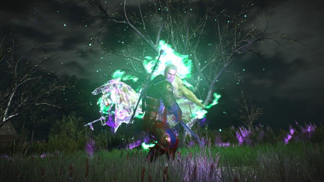 witcher3 2022-01-16 22-28-02-34.jpg