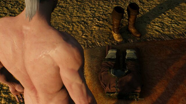 witcher3 2022-02-14 01-15-31-50.jpg