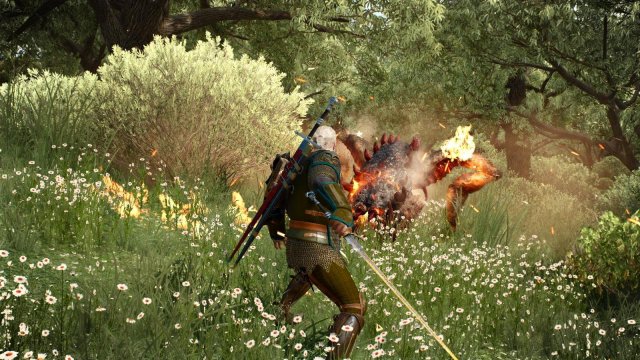 witcher3 2022-01-15 17-43-28-29.jpg