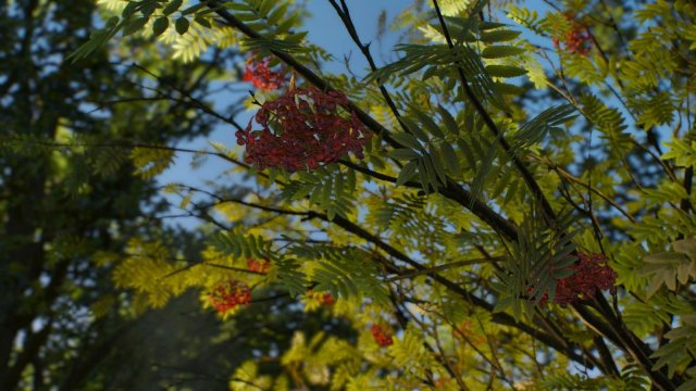 witcher3 2022-02-13 00-05-35-28.jpg