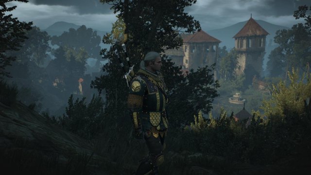 witcher3 2022-02-12 23-28-53-69.jpg