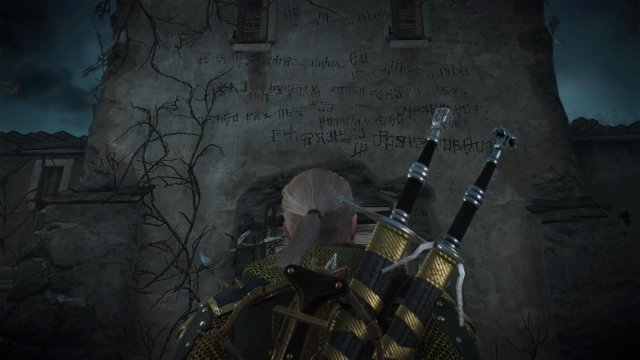 witcher3 2022-02-07 21-30-57-84.jpg