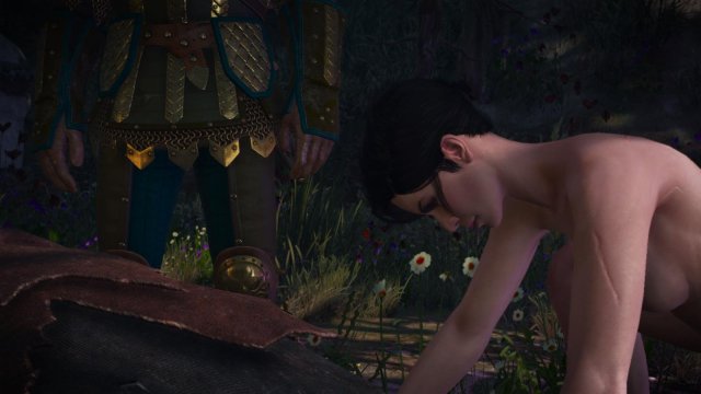 witcher3 2022-02-10 22-53-51-78.jpg