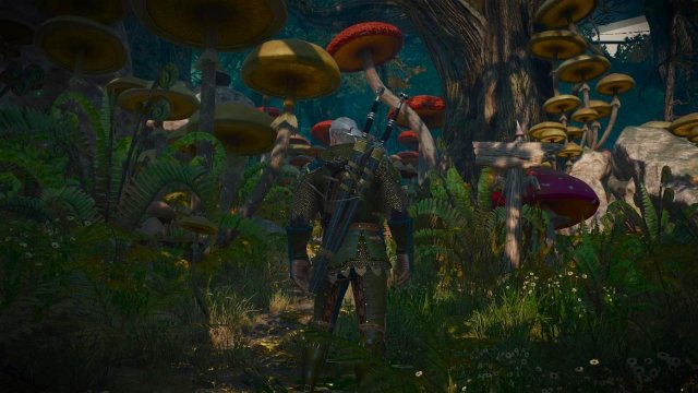 witcher3 2022-02-10 22-37-08-54.jpg