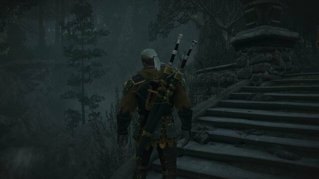 witcher3 2022-02-12 23-33-30-51.jpg