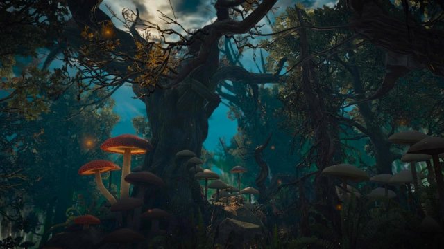 witcher3 2022-02-10 22-36-43-35.jpg