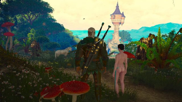 witcher3 2022-02-10 23-04-47-78.jpg