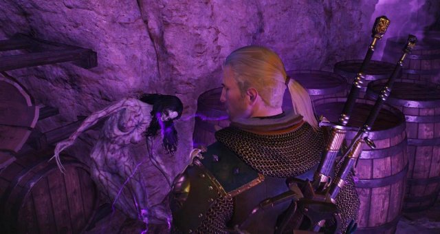 witcher3 2022-01-22 23-45-46-48.jpg