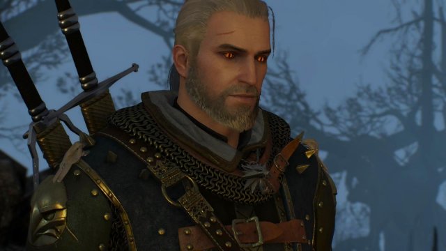 witcher3 2022-01-19 22-06-41-56.jpg