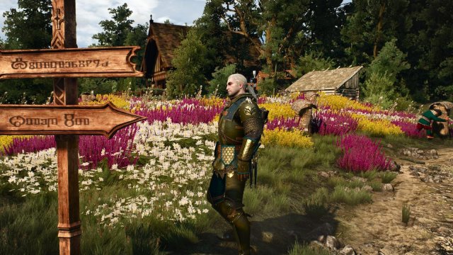 witcher3 2022-01-16 21-43-00-91.jpg