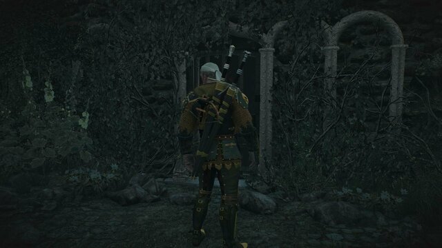 witcher3 2022-02-12 23-33-48-87.jpg