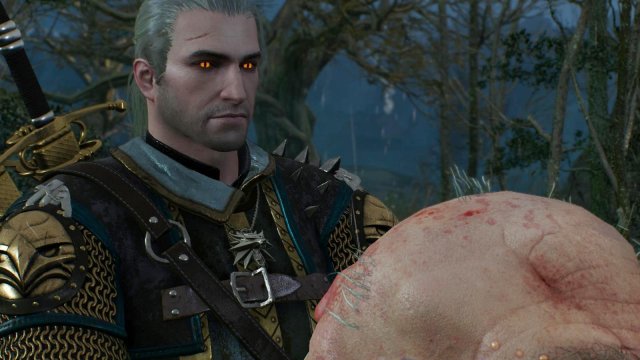 witcher3 2022-01-13 00-45-20-96.jpg