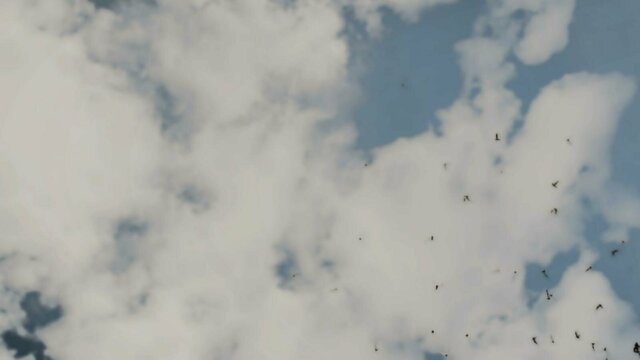 witcher3 2022-02-12 00-54-42-12.jpg