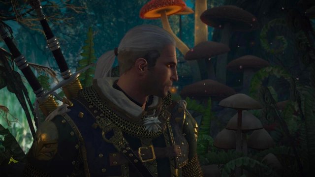 witcher3 2022-02-10 22-36-37-52.jpg