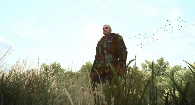 witcher3 2022-02-06 21-13-11-46.jpg