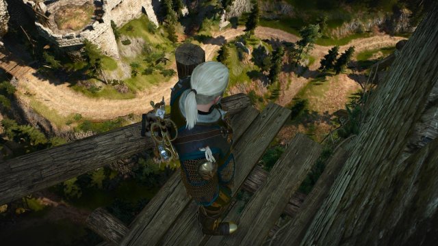 witcher3 2022-01-13 22-23-10-50.jpg