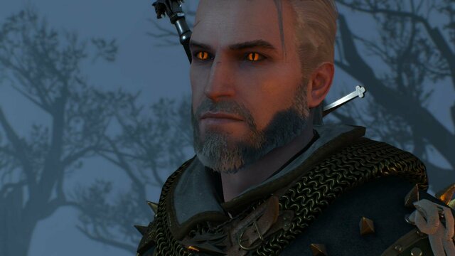 witcher3 2022-01-19 21-41-06-20.jpg