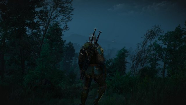 witcher3 2022-01-16 22-12-53-58.jpg