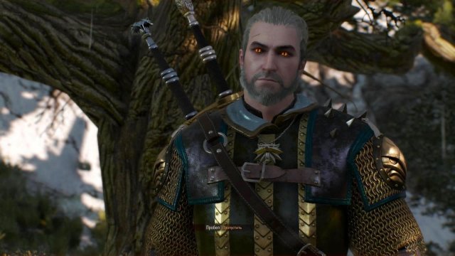 witcher3 2022-01-11 21-54-23-32.jpg