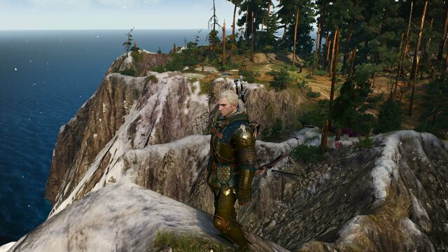 witcher3 2022-02-03 23-25-10-67.jpg