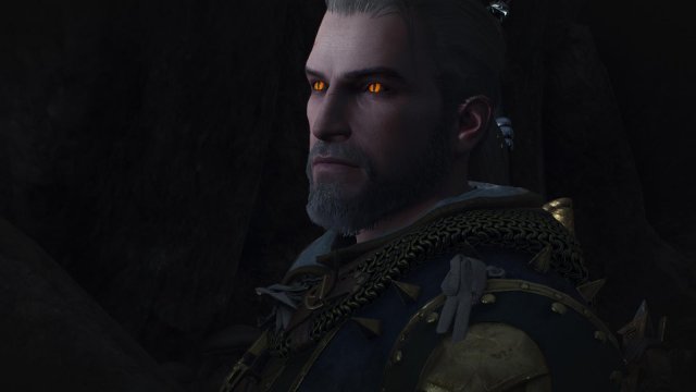 witcher3 2022-01-24 23-05-35-80.jpg