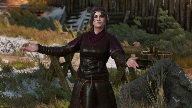 witcher3 2022-01-11 21-42-49-39.jpg